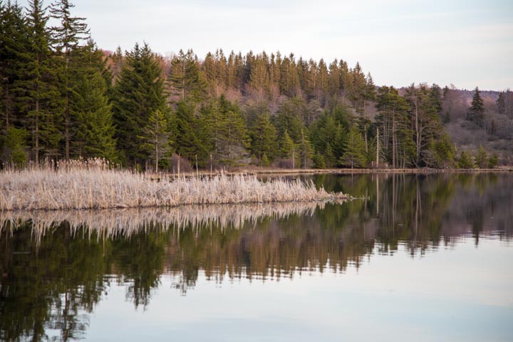 Spruce Knob Lake