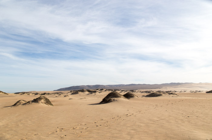 Rancho Guadalupe Dunes Preserve
